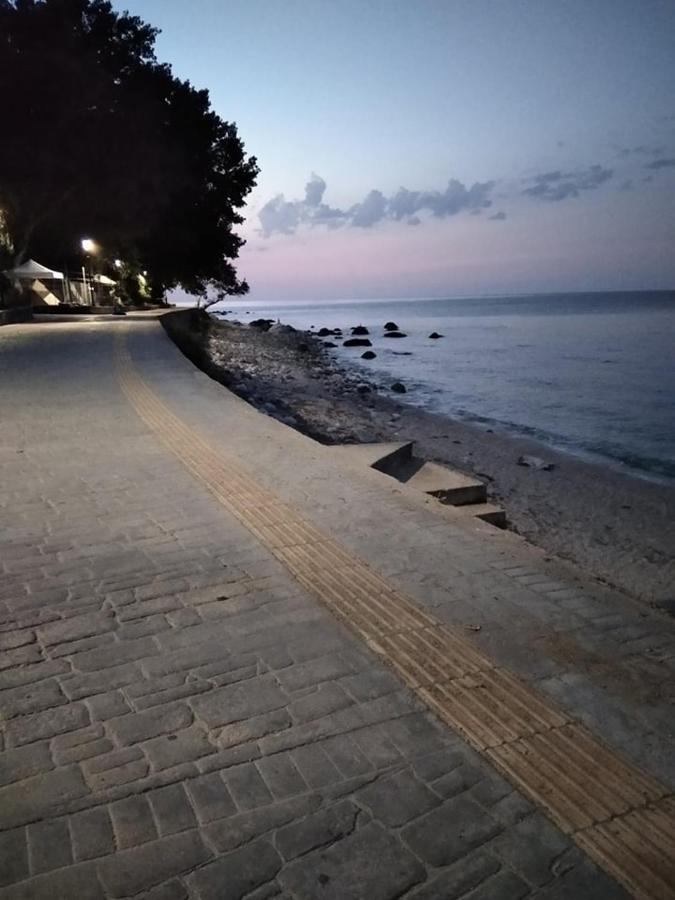 叶莱妮公寓 Agios Ioannis  外观 照片